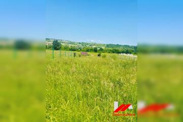1b24a8ab-b5e8-4547-840f-f840bebbe62f.jpg